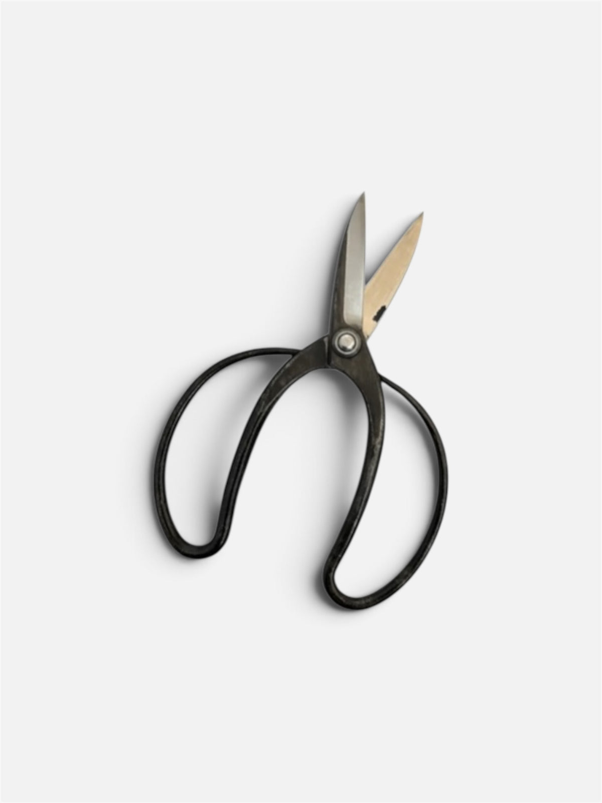 Hasamiya Ichiban Traditional Japanese Gardener Scissors (Sasuke-Style) Total Length & Blade (208mm/75mm) Yasuki White Paper Steel [Urasuki / Rivet Joint]