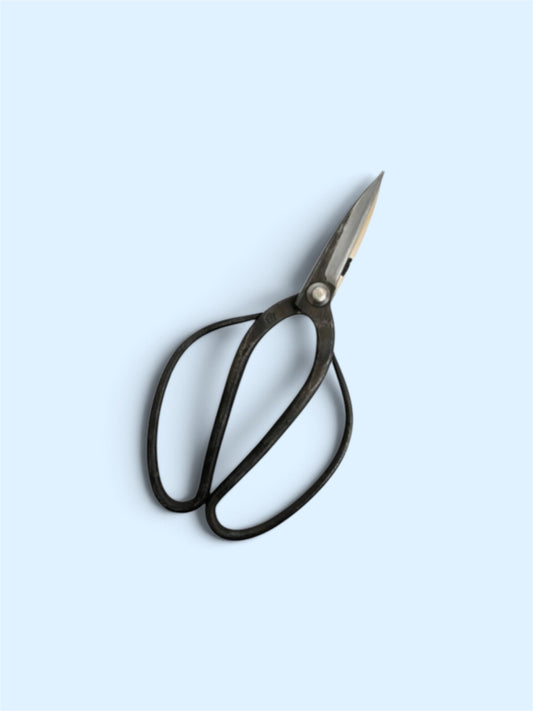 SAKURA Traditional Japanese Gardener Scissors - Slim Type Blade Total Length & Blade (215mm/72mm) Yasuki Blue Paper Steel [Traditional hand- Forged from Scratch / Hollow Ground Back / Twisted Blade / Rivet joint]