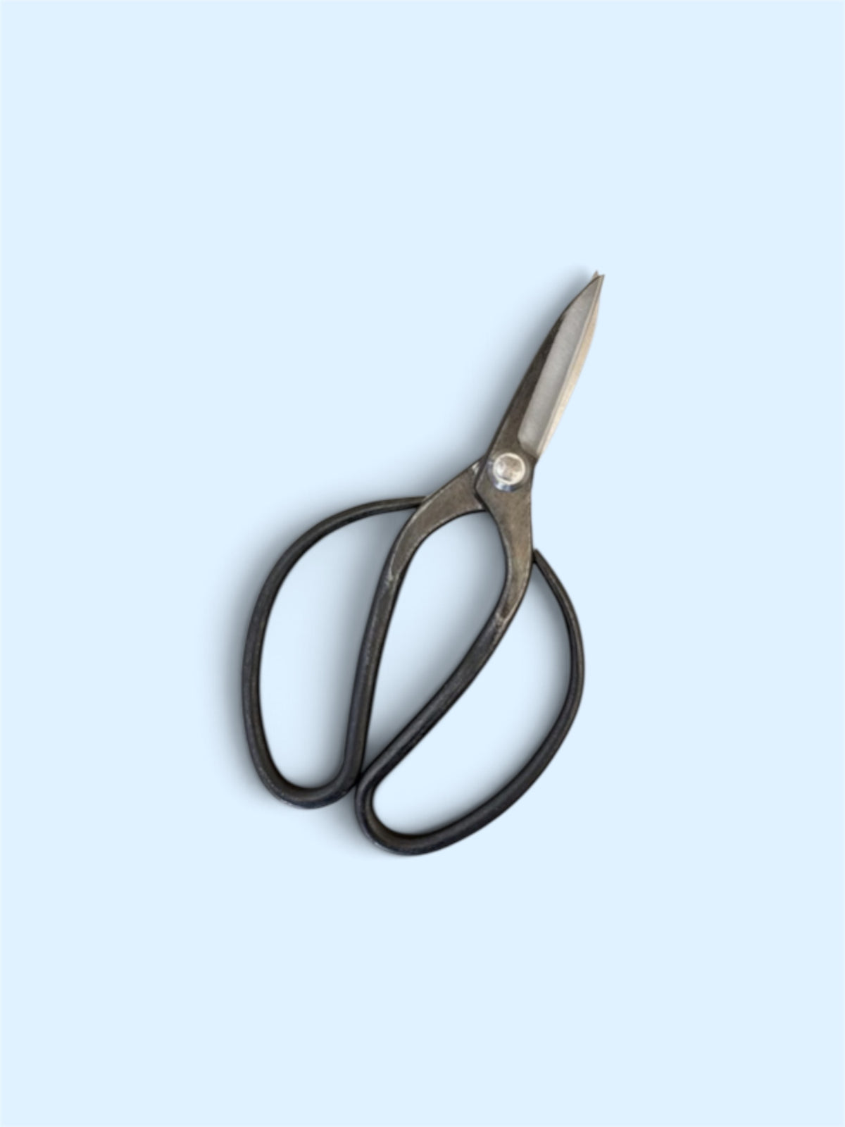 Hasamiya Ichiban Traditional Japanese Gardener Scissors (Sasuke Modified Style) Total Length & Blade (210mm/72mm) Yasuki Blue Paper Steel [Urasuki / Rivet Joint]