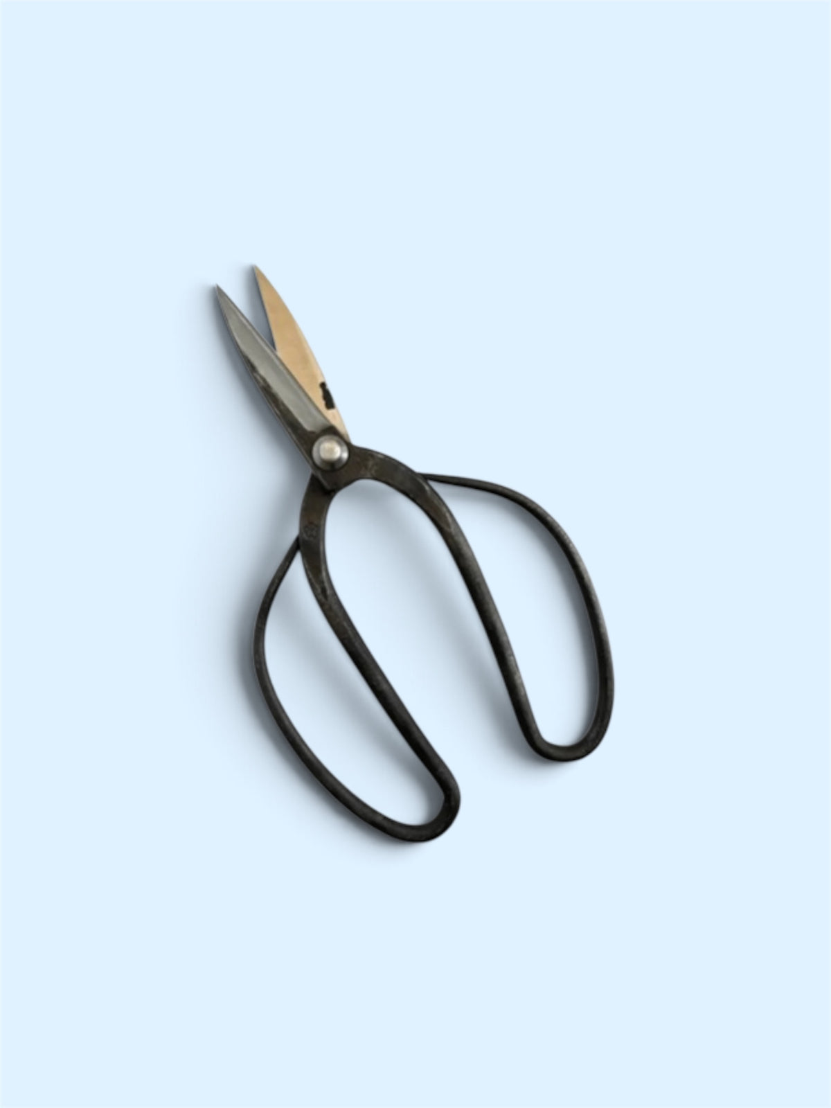 SAKURA Traditional Japanese Gardener Scissors - Slim Type Blade Total Length & Blade (215mm/72mm) Yasuki Blue Paper Steel [Traditional hand- Forged from Scratch / Hollow Ground Back / Twisted Blade / Rivet joint]