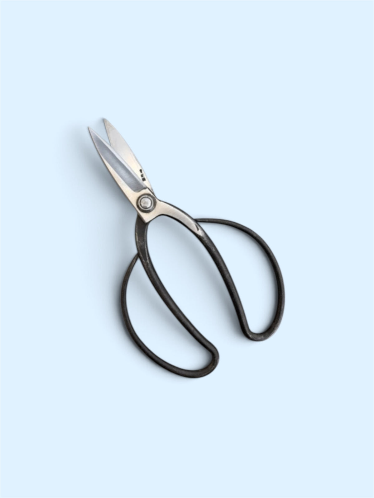 SAKURA Traditional Japanese Gardener Scissors (Sasuke-style Long-neck Shears) Total Length & Blade (225mm/77mm) Yasuki Blue Paper Steel [Traditional hand  forged from scratch / Hollow ground back/ Twisted blade / Rivet Joint]