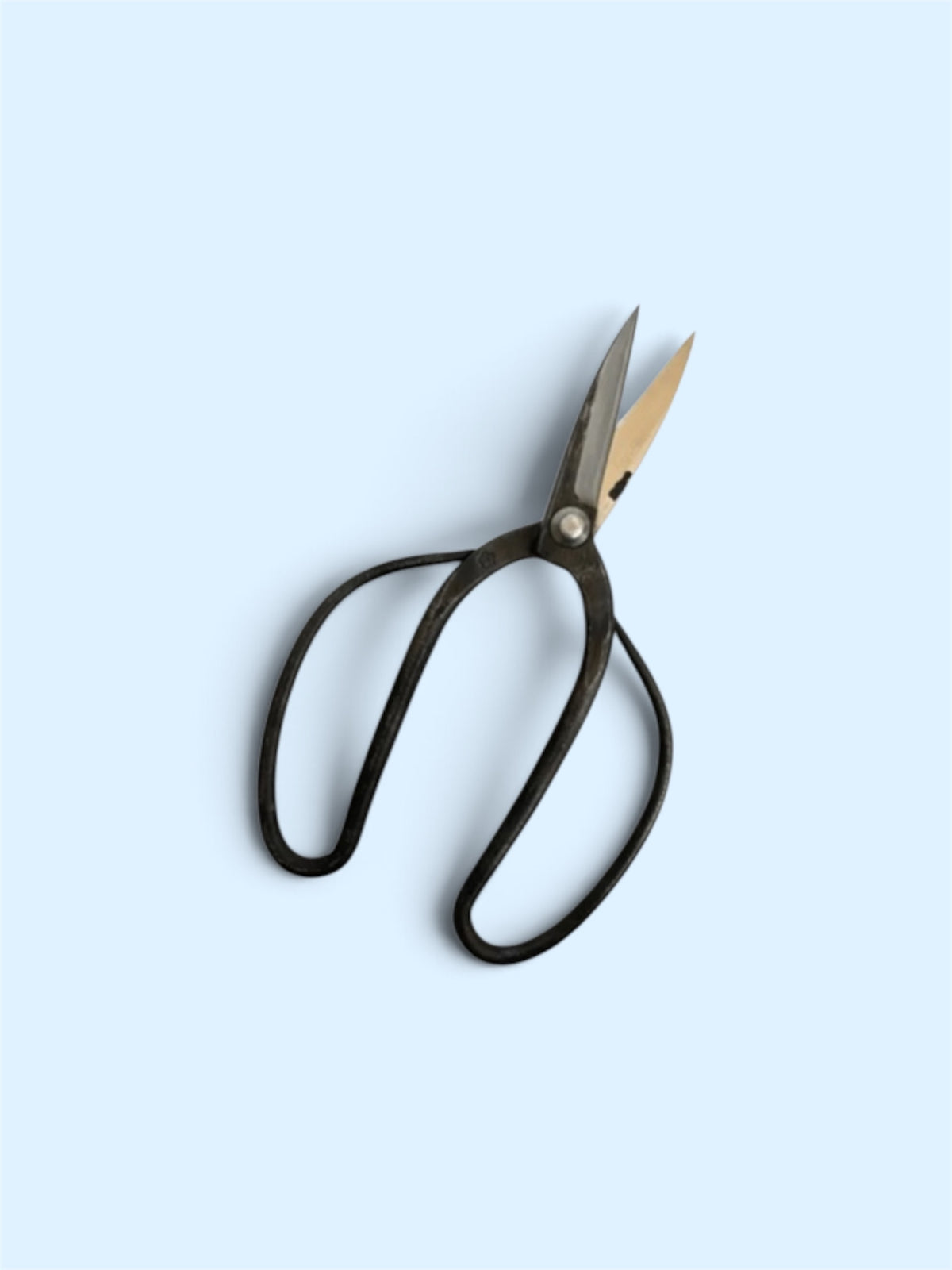 SAKURA Traditional Japanese Gardener Scissors - Slim Type Blade Total Length & Blade (215mm/72mm) Yasuki Blue Paper Steel [Traditional hand- Forged from Scratch / Hollow Ground Back / Twisted Blade / Rivet joint]