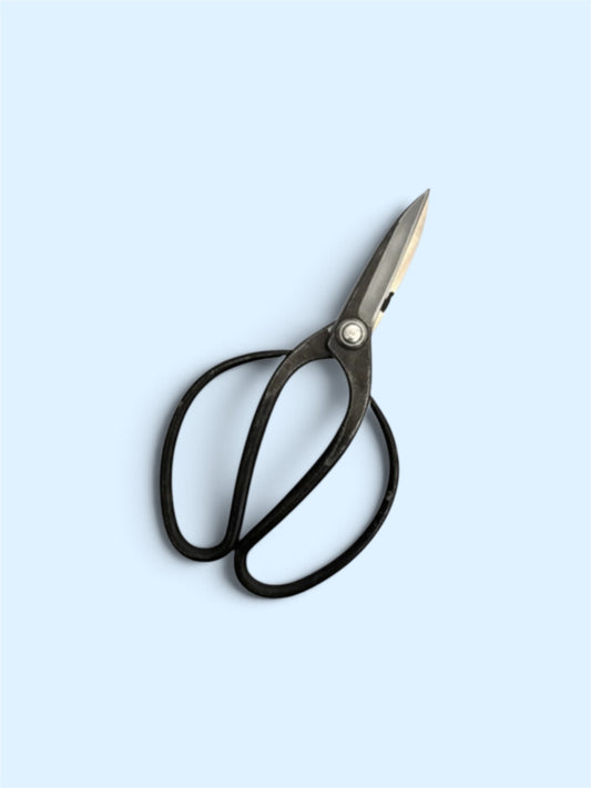 Hasamiya Ichiban Traditional Japanese Gardener Scissors (Sasuke Modified Style) Total Length & Blade (210mm/72mm) Yasuki Blue Paper Steel [Urasuki / Rivet Joint]