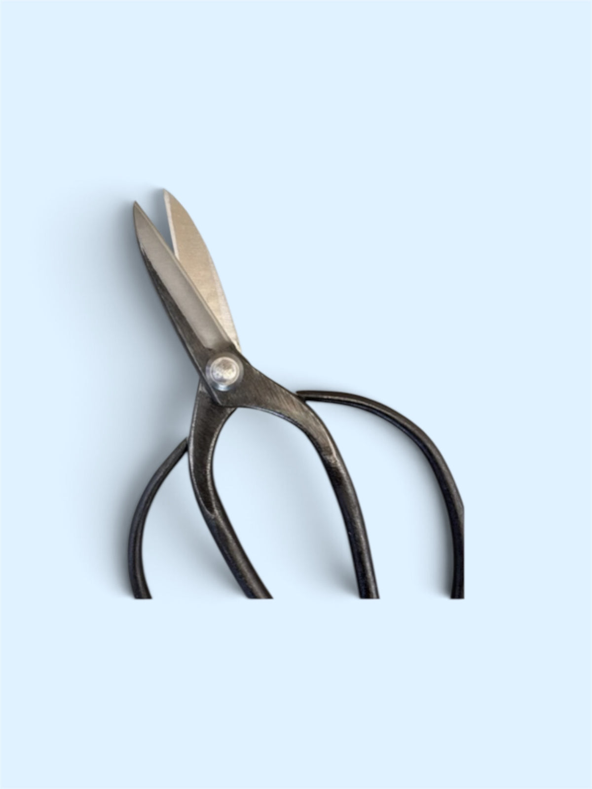 Hasamiya Ichiban Traditional Japanese Gardener Scissors (Sasuke Modified Style) Total Length & Blade (210mm/72mm) Yasuki Blue Paper Steel [Urasuki / Rivet Joint]