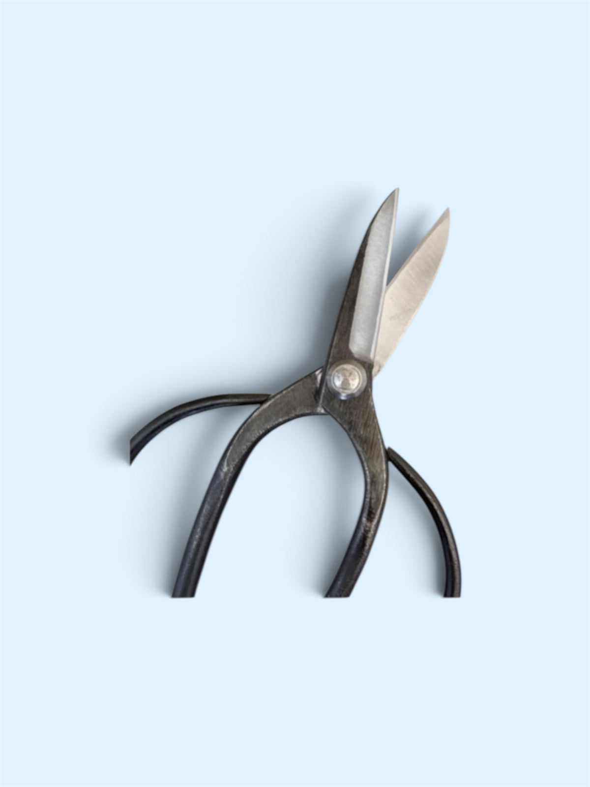 Hasamiya Ichiban Traditional Japanese Gardener Scissors (Sasuke Modified Style) Total Length & Blade (210mm/72mm) Yasuki Blue Paper Steel [Urasuki / Rivet Joint]