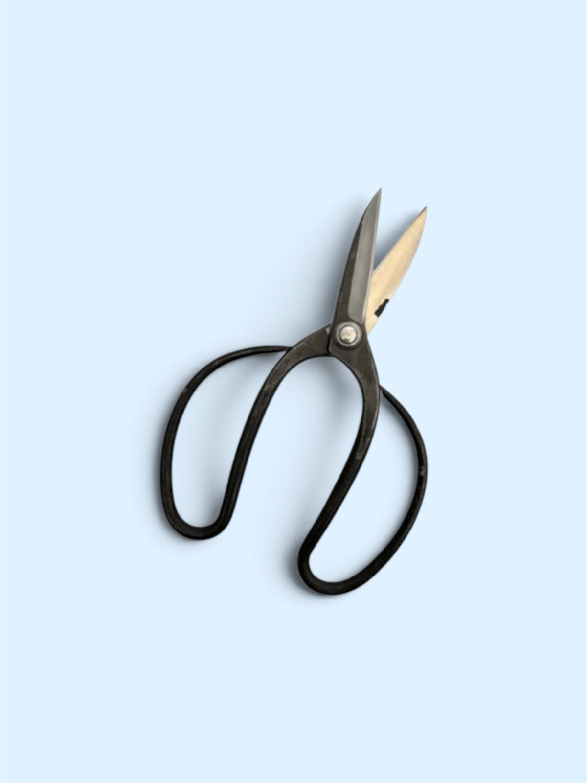 Hasamiya Ichiban Traditional Japanese Gardener Scissors (Sasuke Modified Style) Total Length & Blade (210mm/72mm) Yasuki Blue Paper Steel [Urasuki / Rivet Joint]