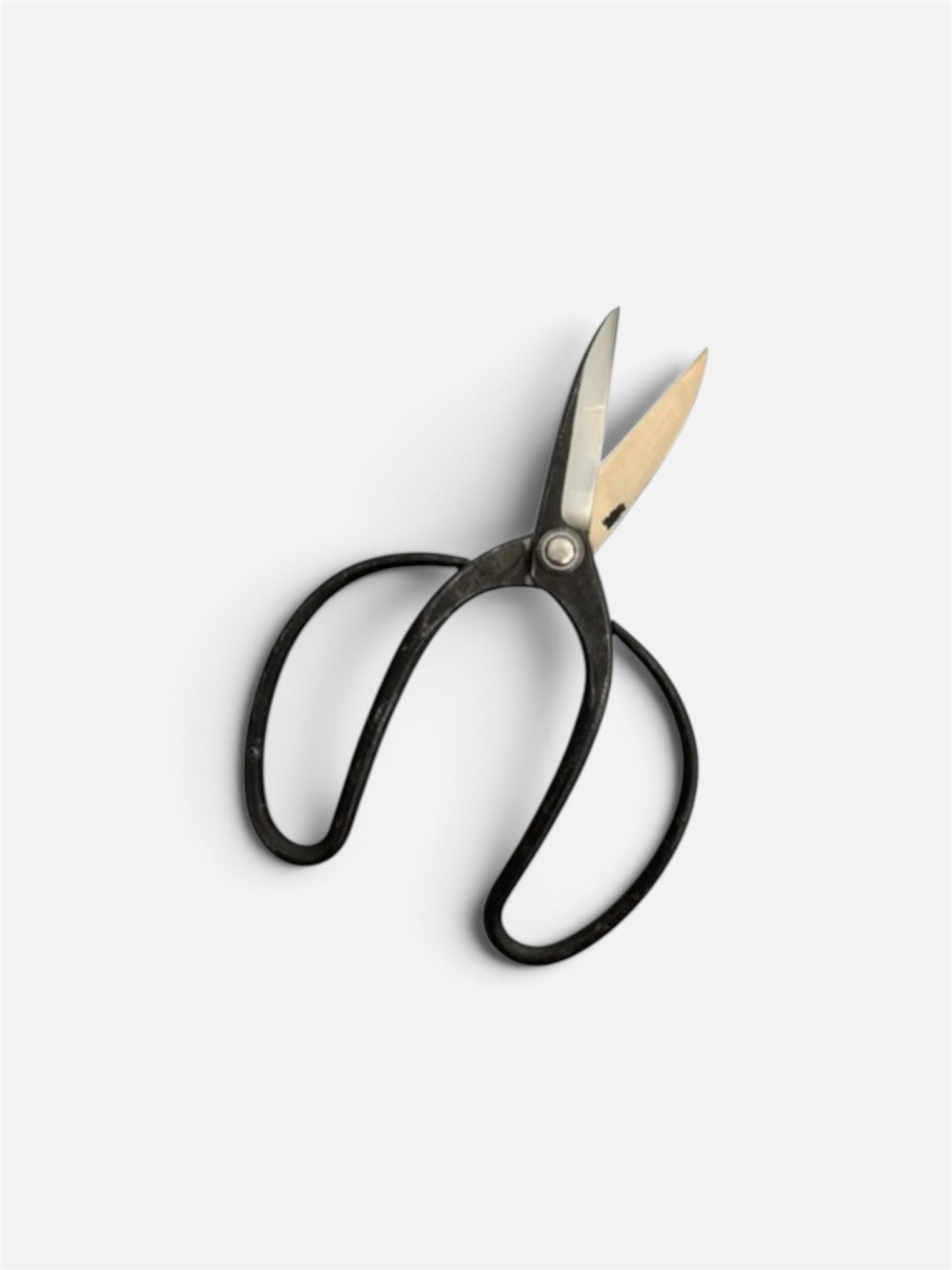 Hasamiya Ichiban Traditional Japanese Gardener Scissors (Sasuke Modified Style) Total Length & Blade (210mm/72mm) Yasuki White Paper Steel [Urasuki / Rivet Joint]