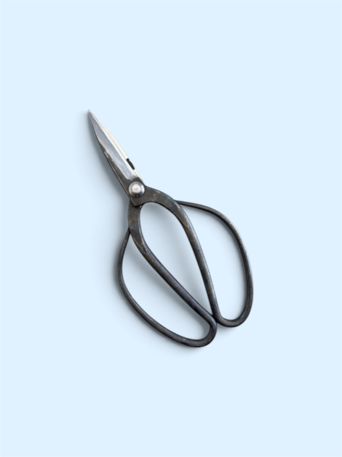 SAKURA Traditional Japanese Gardener Scissors - Slim Type Blade Total Length & Blade (215mm/72mm) Yasuki Blue Paper Steel [Traditional hand- Forged from Scratch / Hollow Ground Back / Twisted Blade / Rivet joint]