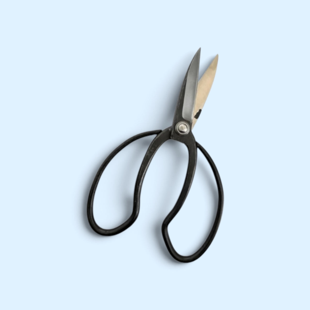 Hanafubuki Type C Heavy-Duty Traditional Japanese Gardener Scissors Total Length & Blade (220mm/80mm) Aogami Blue Paper Steel [Traditional Hand-Forged from Scratch / Rivet Joint / Hollow Ground]