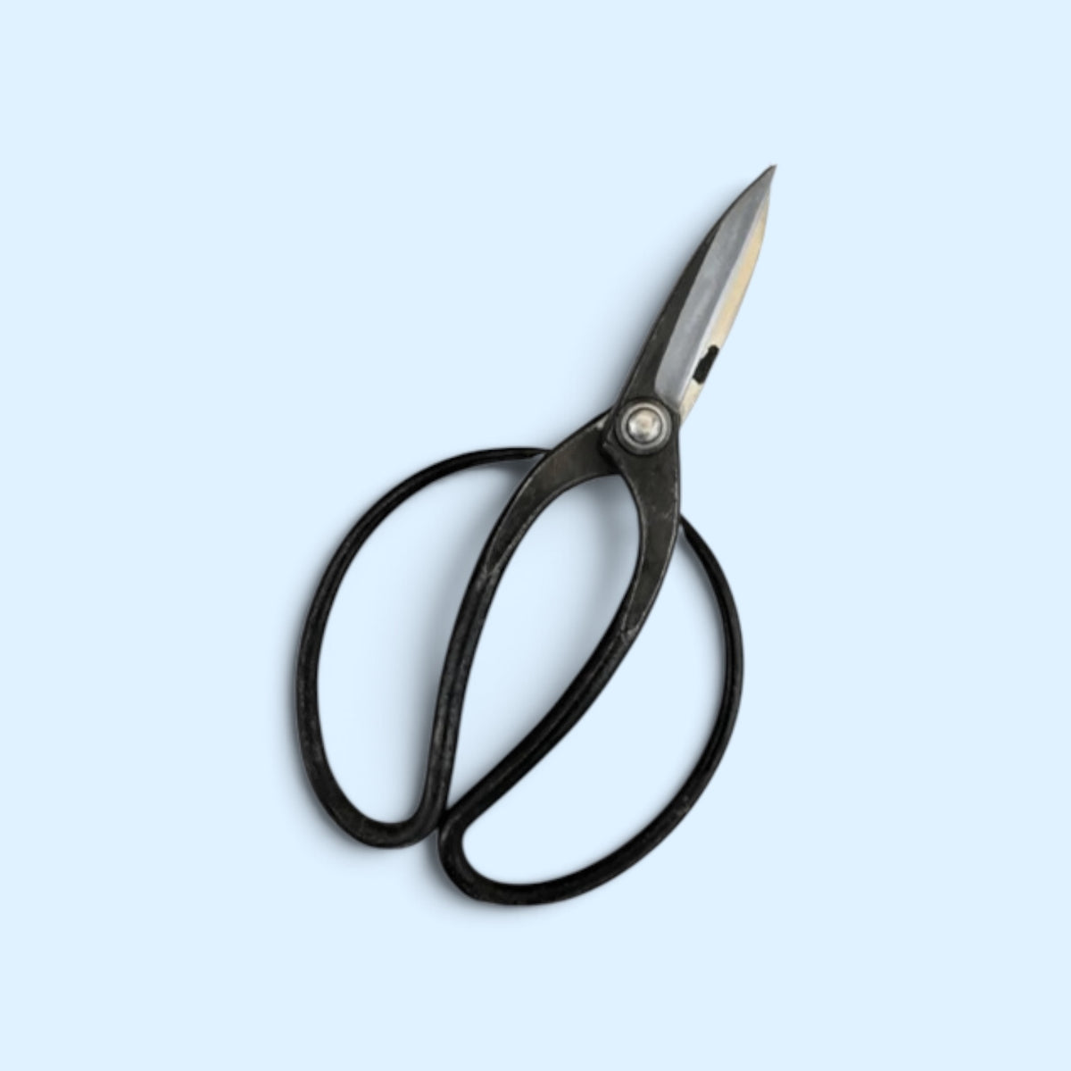 Minamoto no Akitada Traditional Japanese Gardener Scissors Total Length & Blade (210mm/77mm) Aogami Blue Paper Steel [Traditional Hand-Forged / Rivet Joint]