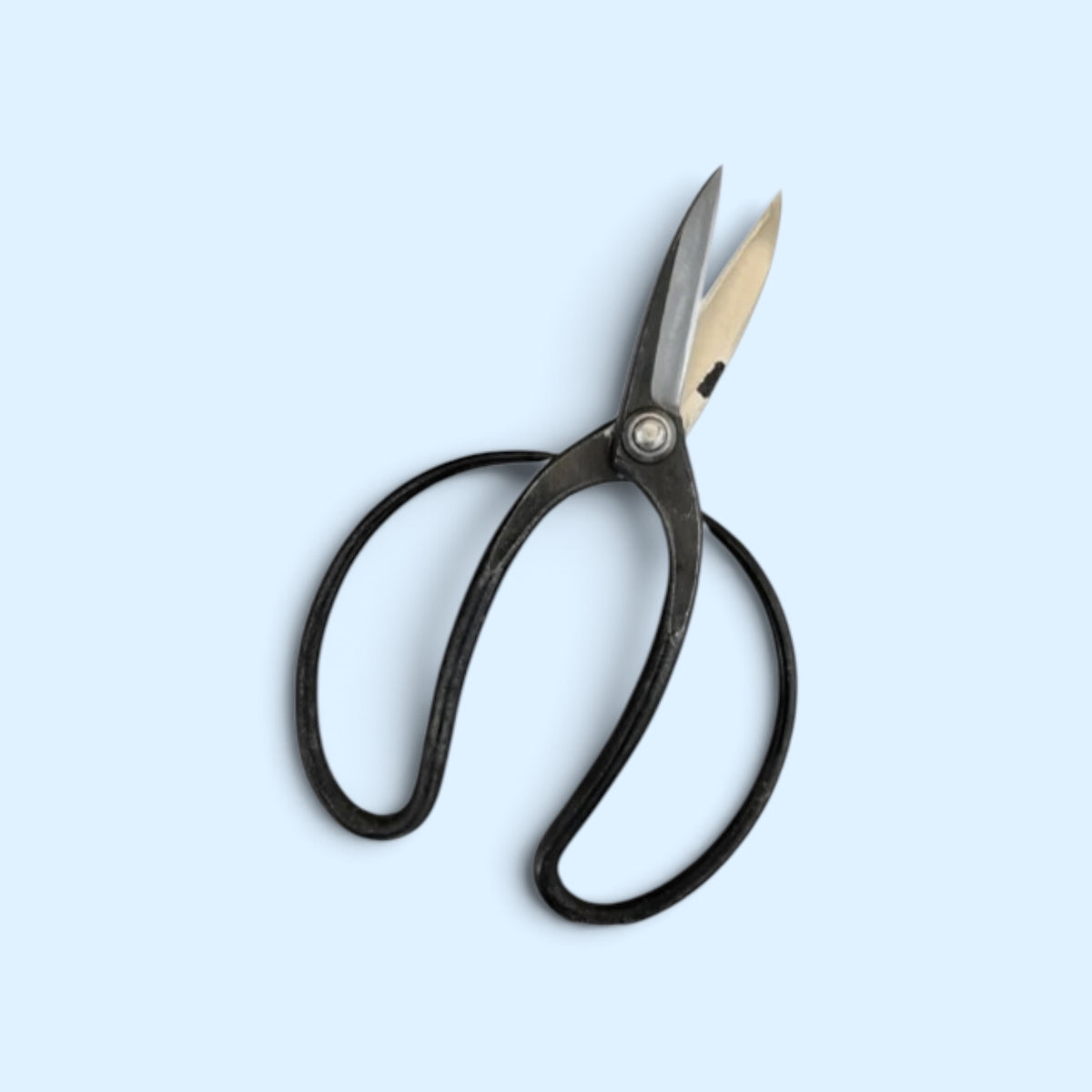 Minamoto no Akitada Traditional Japanese Gardener Scissors Total Length & Blade (210mm/77mm) Aogami Blue Paper Steel [Traditional Hand-Forged / Rivet Joint]