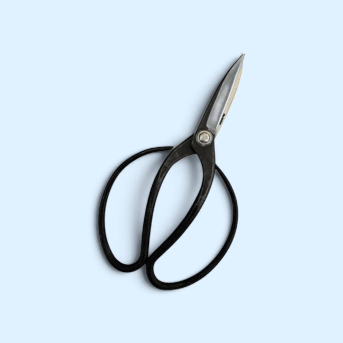 Minamoto no Akitada Traditional Japanese Gardener Scissors Total Length & Blade (215mm/82mm) Aogami Blue Paper Steel [Traditional Hand-Forged / Urasuki Hollow Ground / Hineri Precision Blade Twist / Rivet Joint]