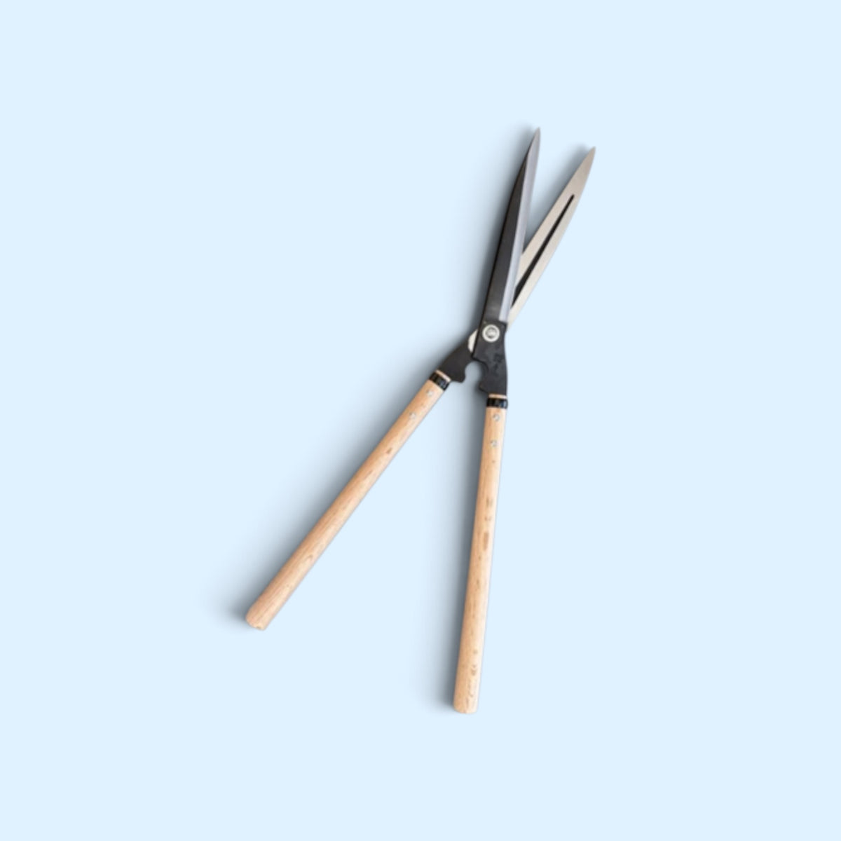 Kihachi Traditional Japanese Hedge Shears Sharp-Angle Model (NO.128) Blade 240mm / Mid-Length Oak Handle 360mm Aogami Blue Paper Steel [Traditional Hand-Forged from Scratch / Hollow Ground / Twisted Blade]