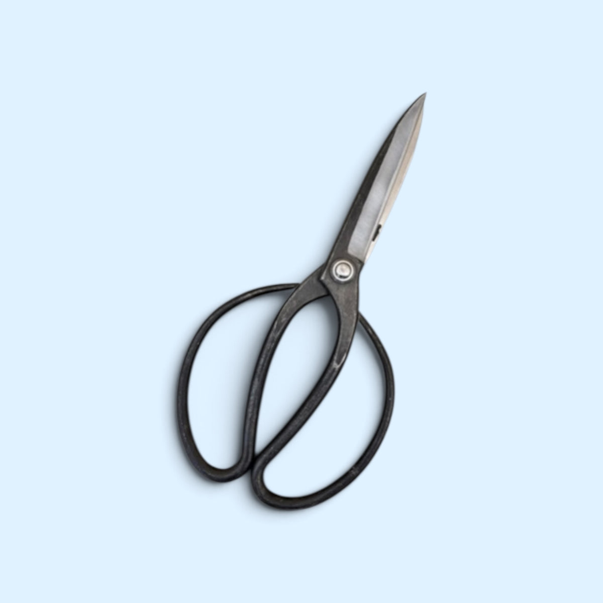 Minamoto Akitada Traditional Japanese Gardener Scissors Total Length & Blade (245mm/108mm) Aogami Blue Paper Steel [Traditional Hand-Forged from Scratch / Urasuki Hollow Ground / Rivet Joint]