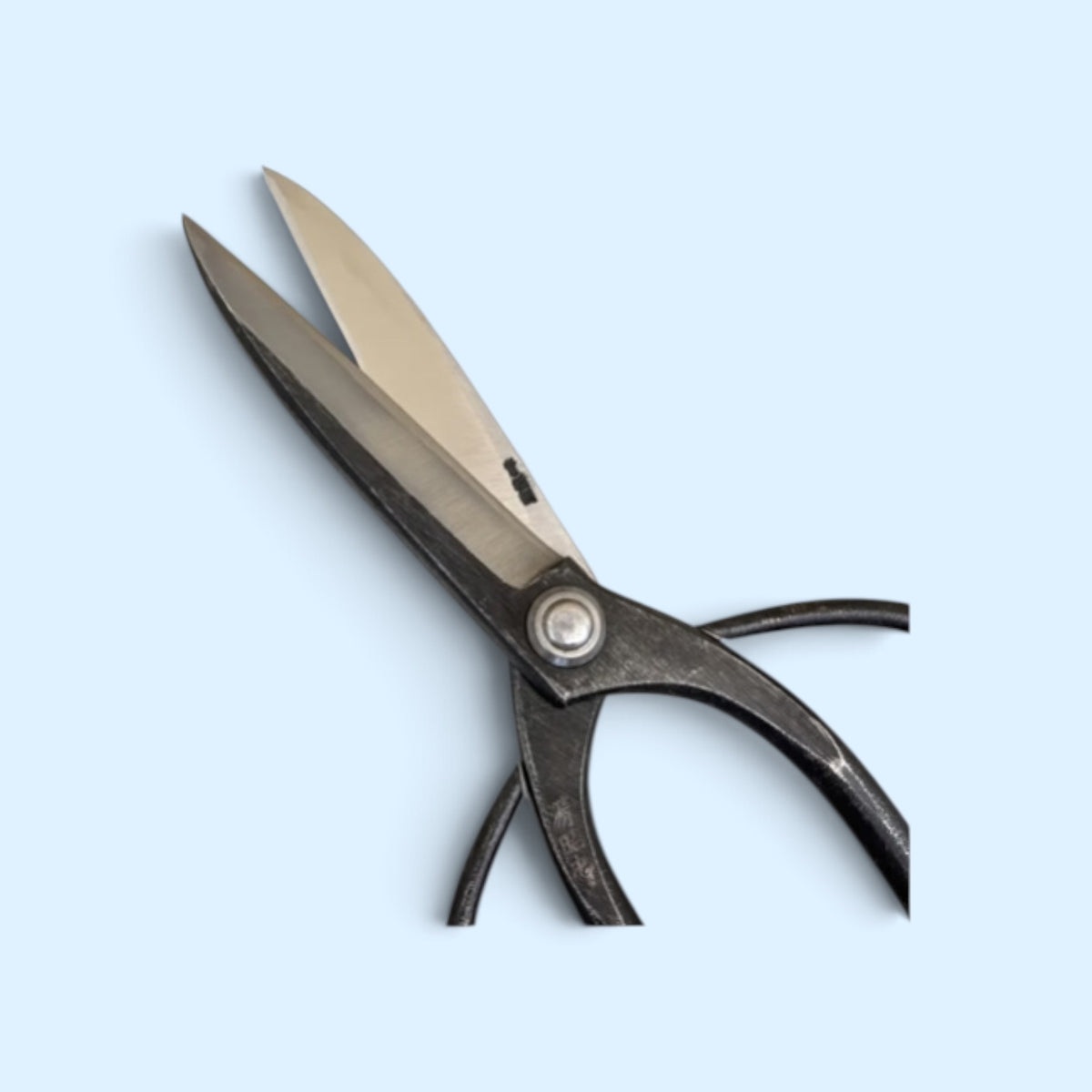Minamoto Akitada Traditional Japanese Gardener Scissors Total Length & Blade (245mm/108mm) Aogami Blue Paper Steel [Traditional Hand-Forged from Scratch / Urasuki Hollow Ground / Rivet Joint]