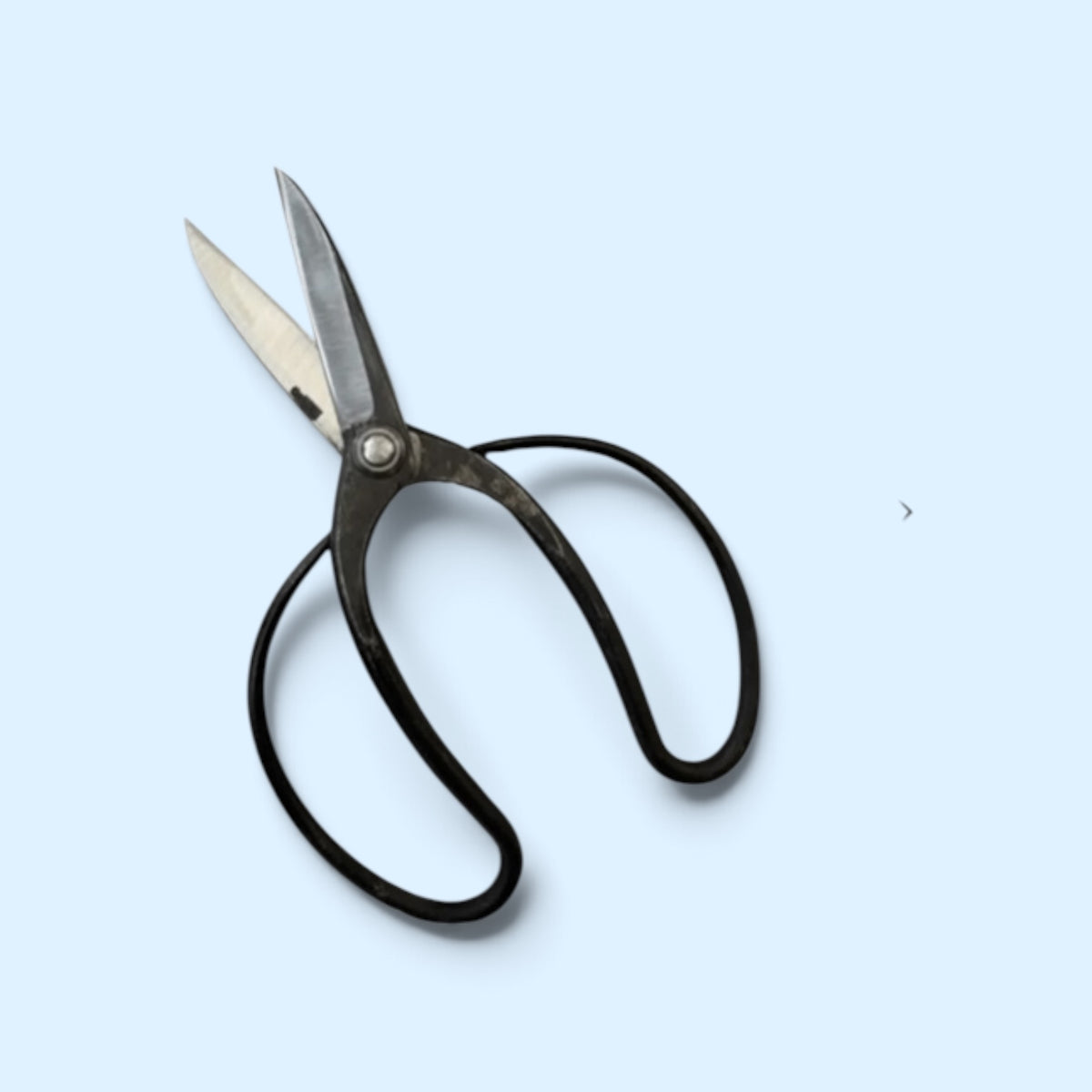 Minamoto Akitada Left-Handed Traditional Japanese Gardener Scissors Total Length & Blade (215mm/86mm) Aogami Blue Paper Steel [Traditional Hand-Forged from Scratch / Left-Handed / Urasuki Hollow Ground / Rivet Joint]
