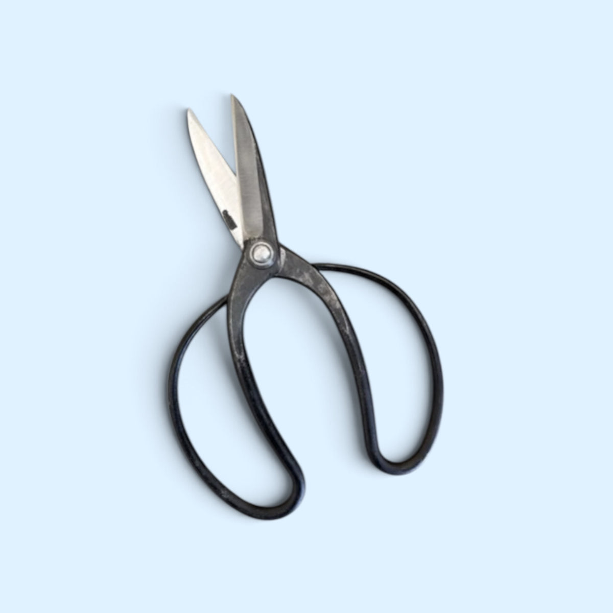 Minamoto Akitada Left-Handed Traditional Japanese Gardener Scissors Total Length & Blade (215mm/86mm) Aogami Blue Paper Steel [Traditional Hand-Forged from Scratch / Left-Handed / Urasuki Hollow Ground / Rivet Joint]