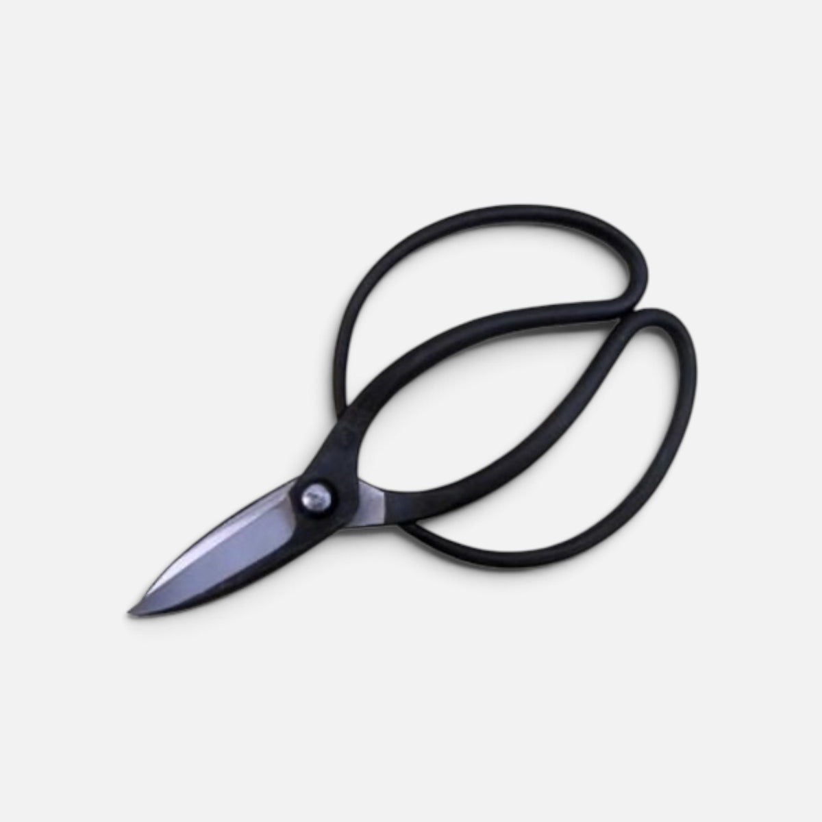 Sasuke Traditional Japanese Gardener Scissors Total Length & Blade (198mm/69mm) Shirogami White Paper Steel [Traditional Hand-Forged from Scratch / Urasuki Hollow Ground / Hineri Blade twist / Rivet Joint]