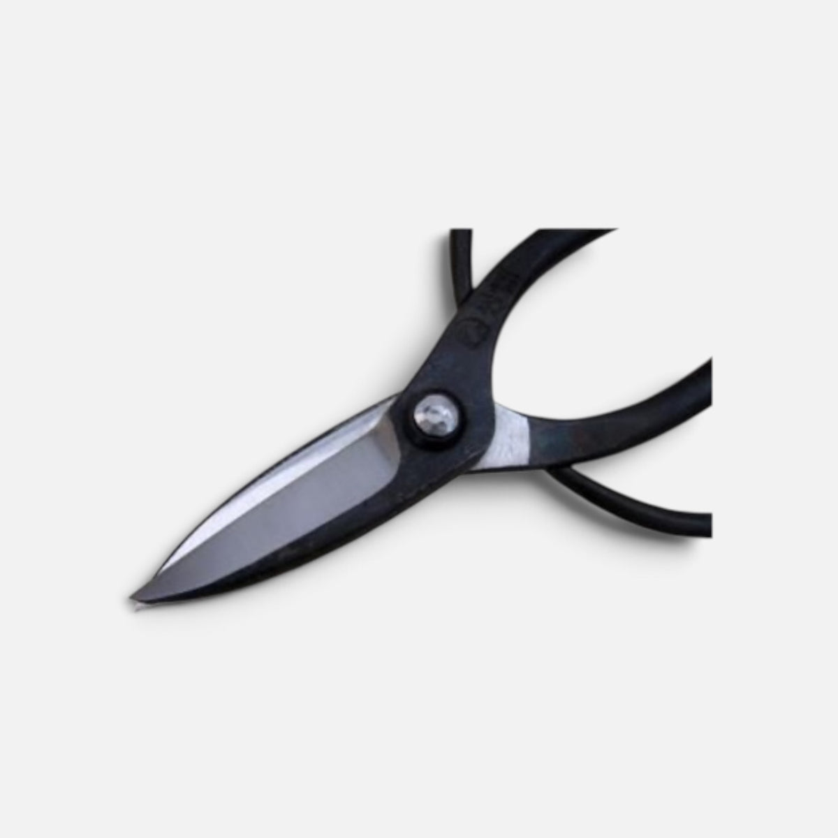 Sasuke Traditional Japanese Gardener Scissors Total Length & Blade (198mm/69mm) Shirogami White Paper Steel [Traditional Hand-Forged from Scratch / Urasuki Hollow Ground / Hineri Blade twist / Rivet Joint]