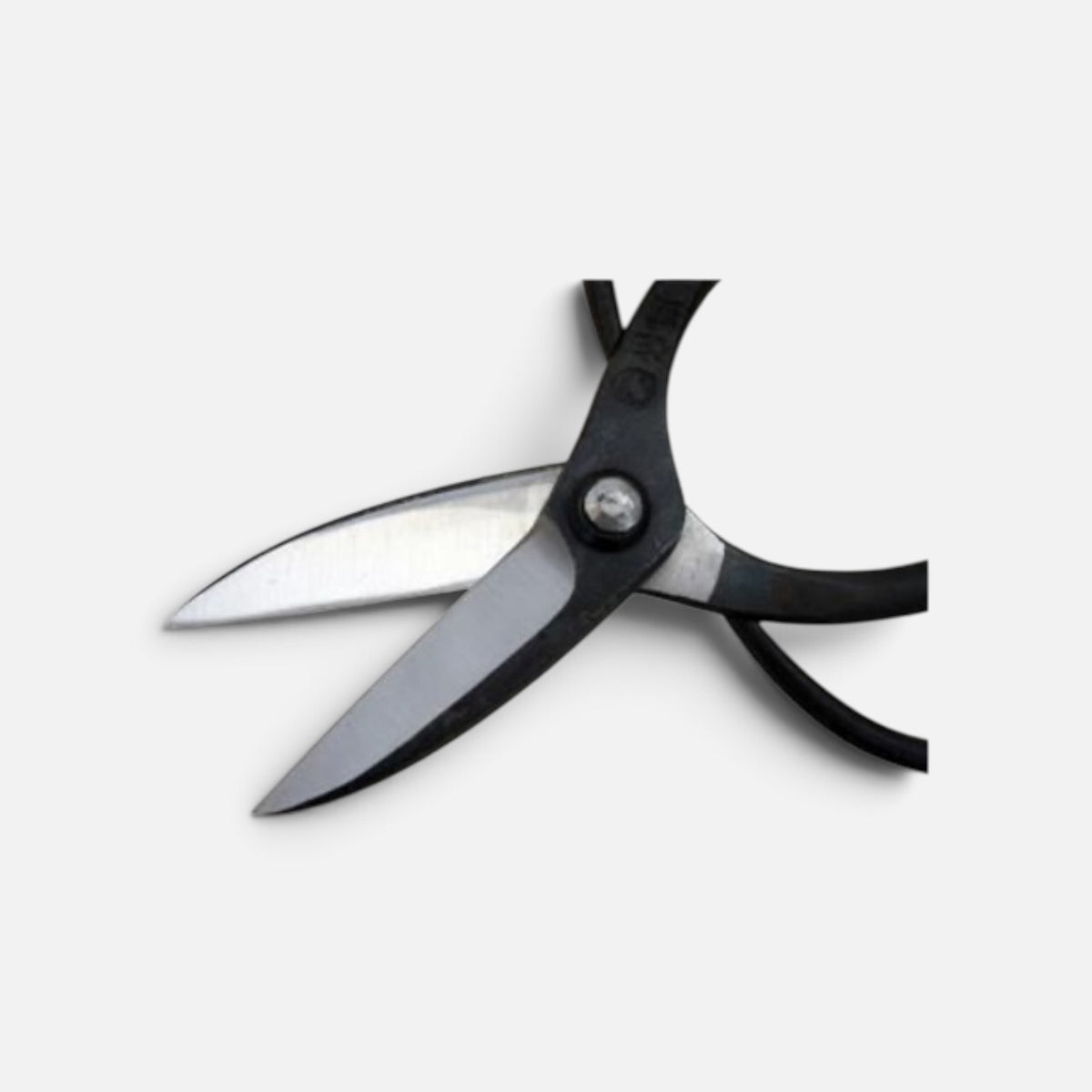 Sasuke Traditional Japanese Gardener Scissors Total Length & Blade (198mm/69mm) Shirogami White Paper Steel [Traditional Hand-Forged from Scratch / Urasuki Hollow Ground / Hineri Blade twist / Rivet Joint]