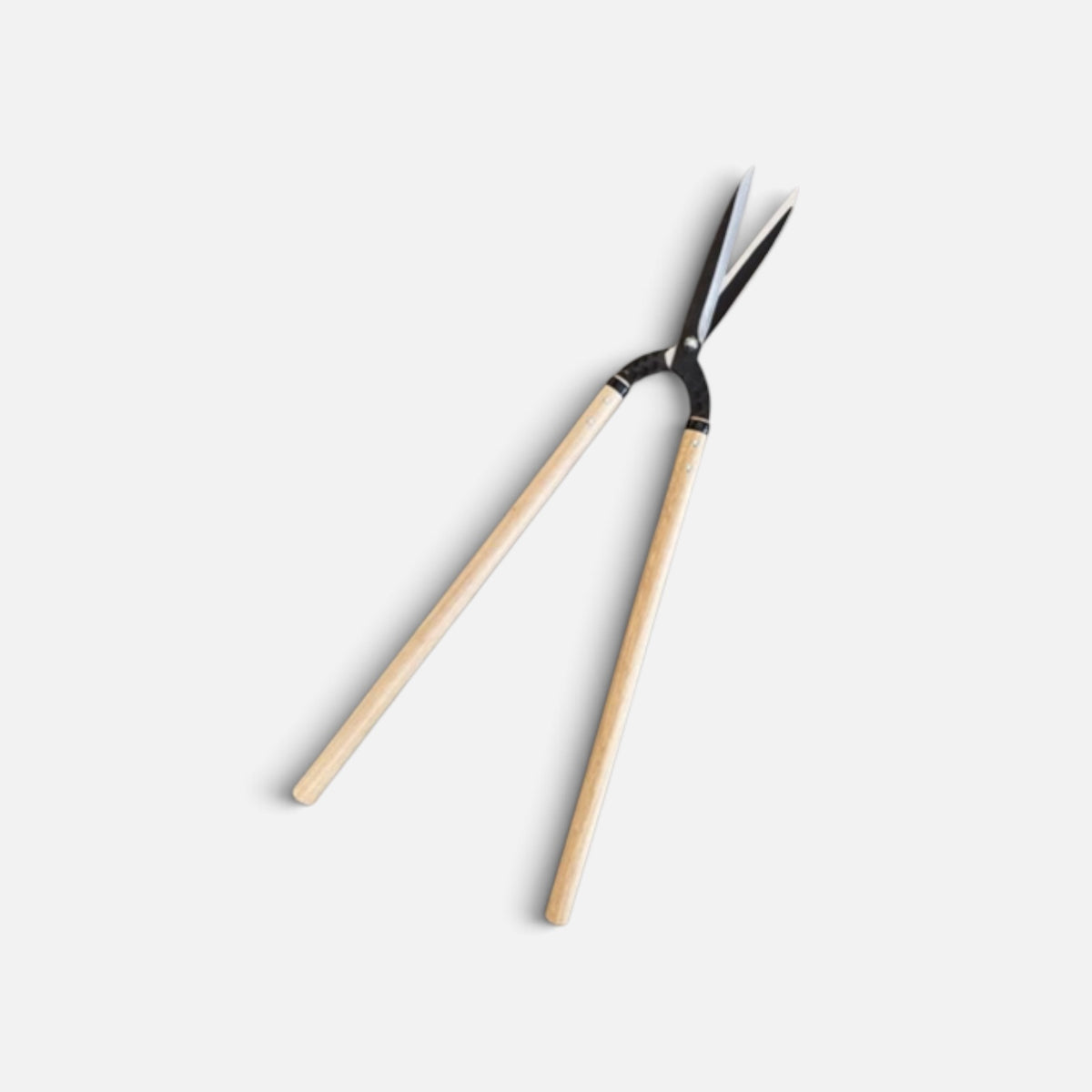 Hasami Masamune Kyo-Style Traditional Japanese Hedge Shears Total Length & Blade 800mm / 195mm / Lightweight Long Handle 540mm with Shirogami White Paper Steel Blade [Traditional Hand-Forged from Scratch / Hollow Ground Back /Twist Blade / Screw joint ]