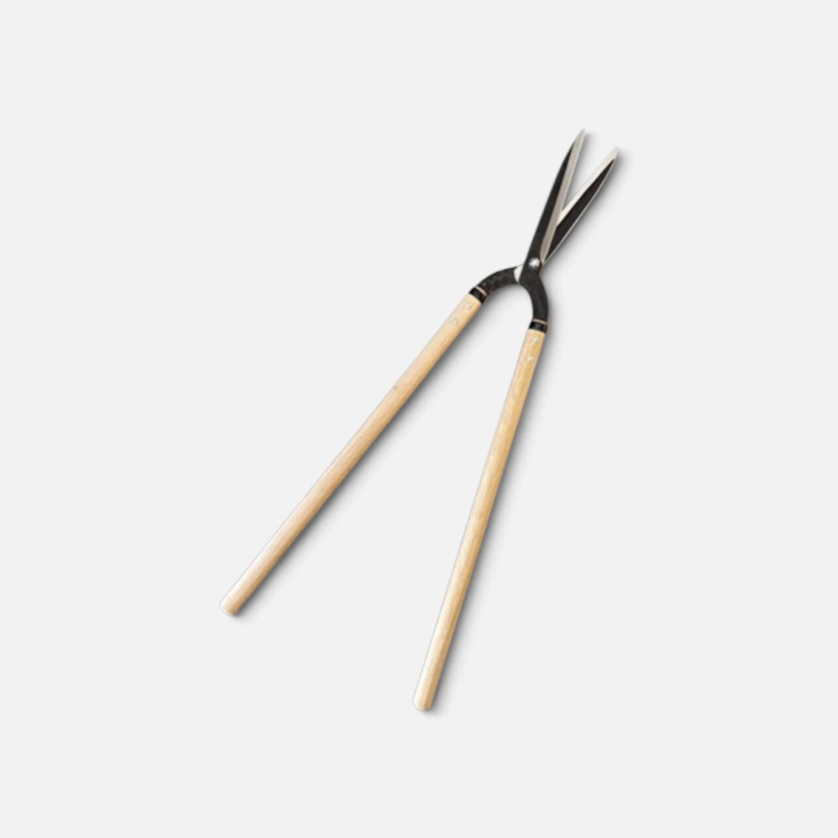 Hasami Masamune Kyo-Style Traditional Japanese Hedge Shears Total Length & Blade 800mm / 195mm / Lightweight Long Handle 540mm with Shirogami White Paper Steel Blade [Traditional Hand-Forged from Scratch / Hollow Ground Back /Twist Blade / Screw joint ]