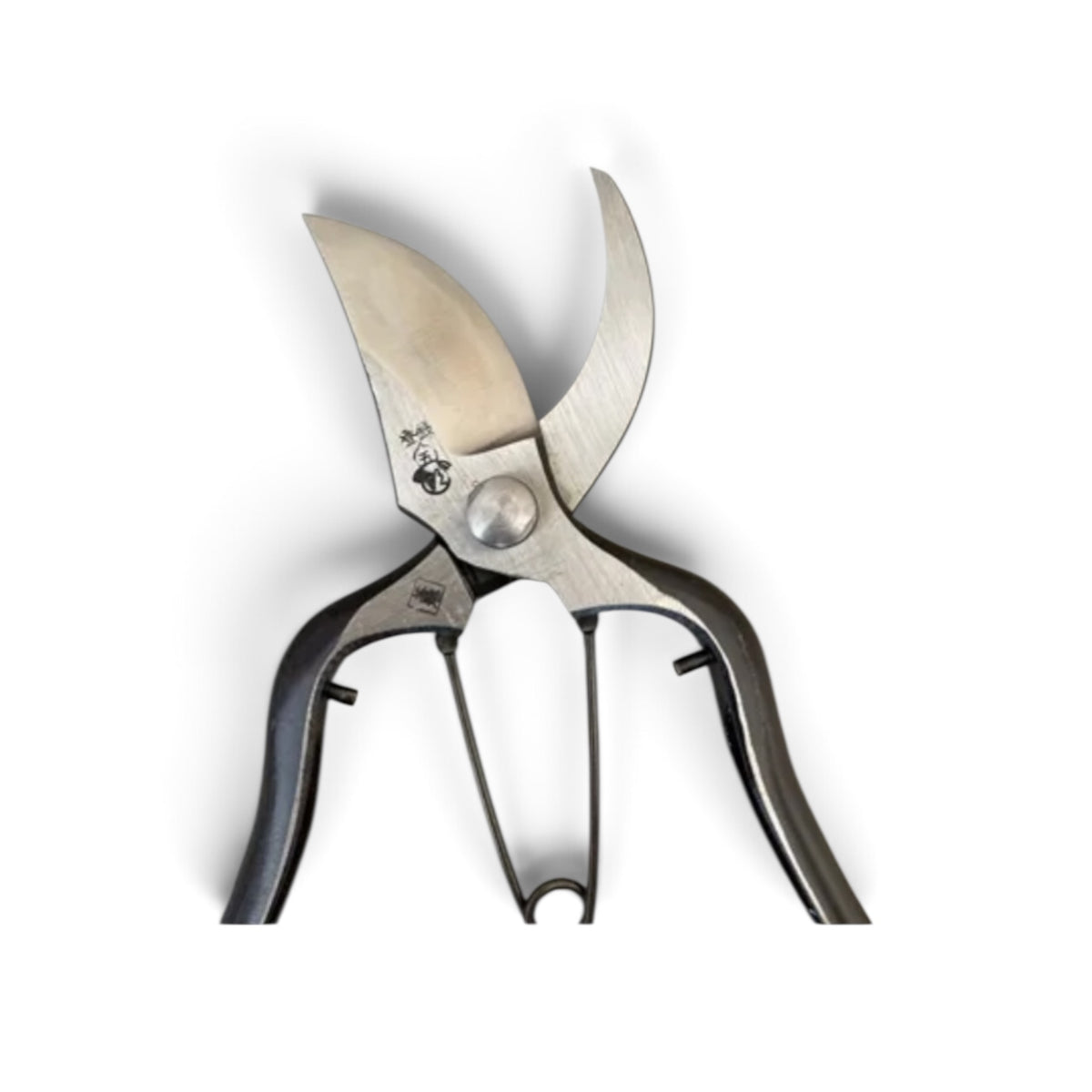 Gorosaku Professional Pruning Secateurs B-Type Heavy-Duty Model Total Length & Blade: 205mm / 65mm High-Carbon Cutlery Steel Blade [Traditional Hand Forged from Scratch / Hollow Ground Back / Twisted Blade / Screw Joint]
