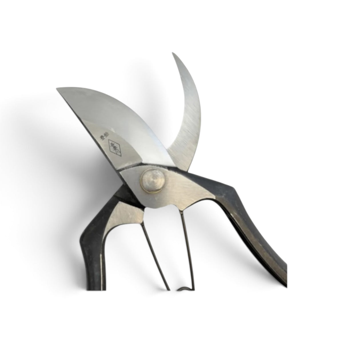 Azumagawa Professional Pruning Secateurs Total Length & Blade: 230mm / 75mm High-Grade Special Steel [Traditional Hand Forged from Scratch / Hollow Ground Back / Twisted Blade / Screw Joint / Thin Low-Resistance Blad ]