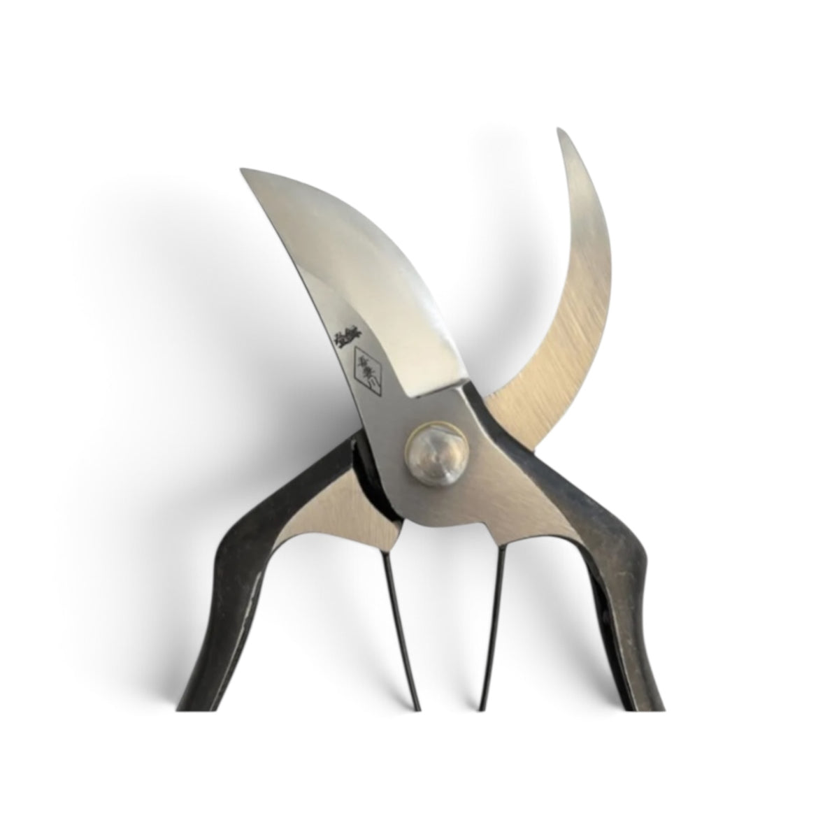 Azumagawa Professional Pruning Secateurs Large Model Total Length & Blade: 215mm / 70mm High-Grade Special Steel [Traditional Hand Forged from Scratch / Hollow Ground Back / Twisted Blade / Screw Joint]