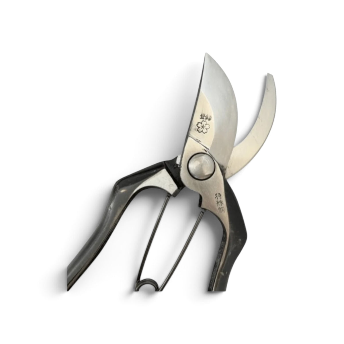SAKURA Professional Pruning Secateurs 
Total Length: 200mm / Blade Length: 66mm Japanese Cutlery Steel [Traditional Hand Forged from Scratch / Hollow Ground Back / Twisted Blade / Screw Joint /Smooth Curved Ergonomic Handle / Seamless Crossover Alignment