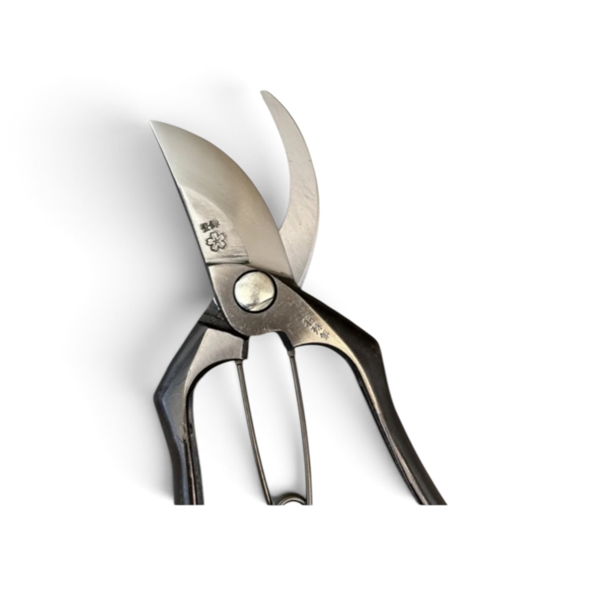 SAKURA Professional Pruning Secateurs Large Model Total Length & Blade 225mm / 75mm Japanese Cutlery Steel [Traditional Hand Forged from Scratch / Hollow Ground Back / Twisted Blade / Screw Joint / Smooth Curved Ergonomic Handle]