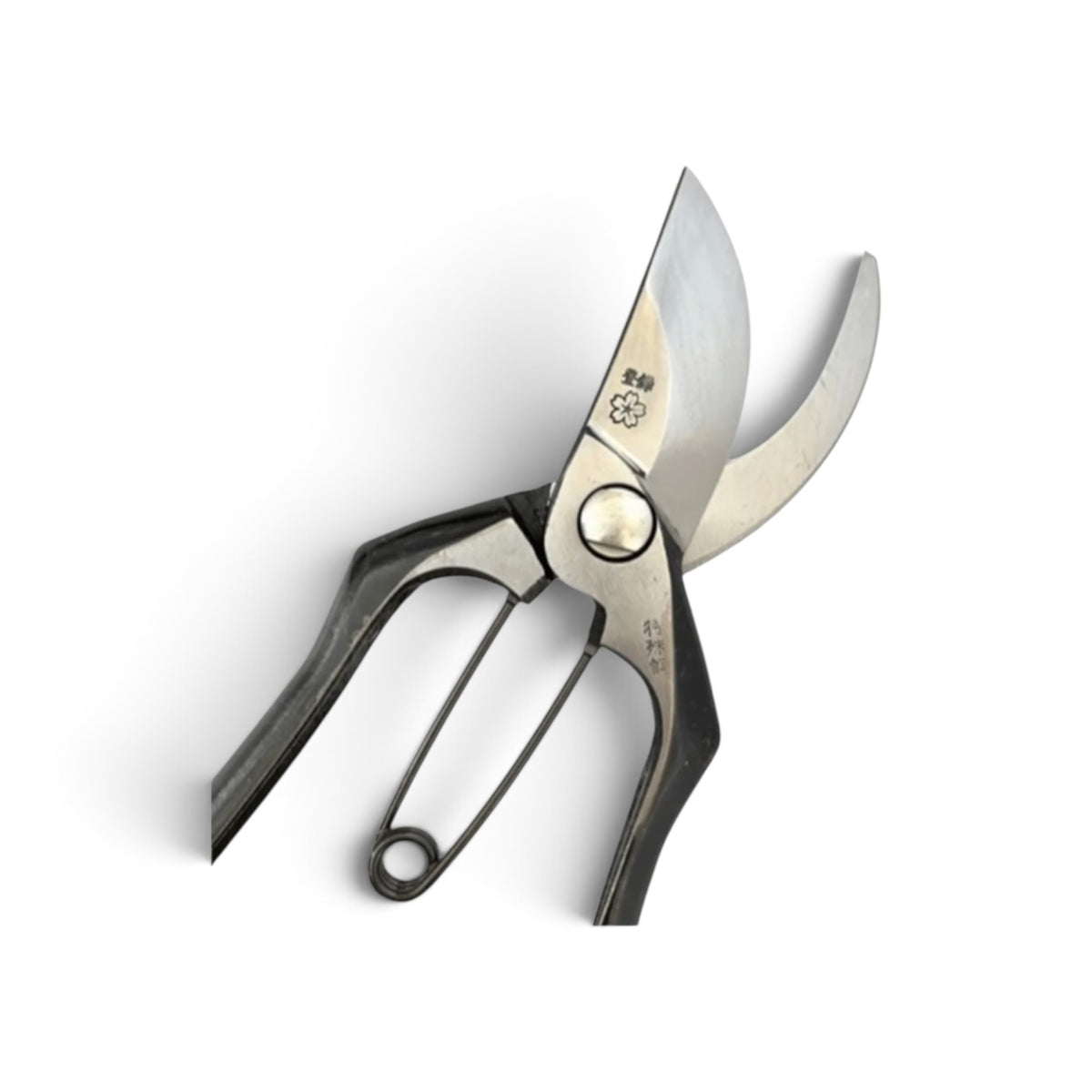 SAKURA Professional Pruning Secateurs Large Model Total Length & Blade 225mm / 75mm Japanese Cutlery Steel [Traditional Hand Forged from Scratch / Hollow Ground Back / Twisted Blade / Screw Joint / Smooth Curved Ergonomic Handle]
