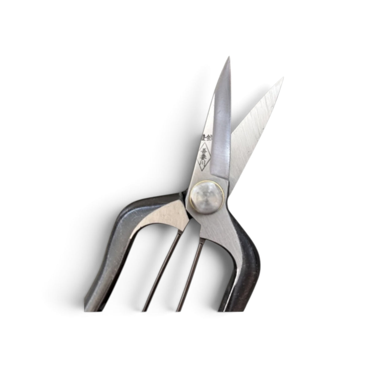 Azumagawa Mini Bud Trimming Scissors Double-Edged Total Length & Blade: 165mm/58mm Weight: 172g | Premium Japanese Carbon Cutlery Steel [Traditional Hand Forged from Scratch / Hollow Ground Back / Twisted Blade / Screw Joint / Bottom Spring Lock]