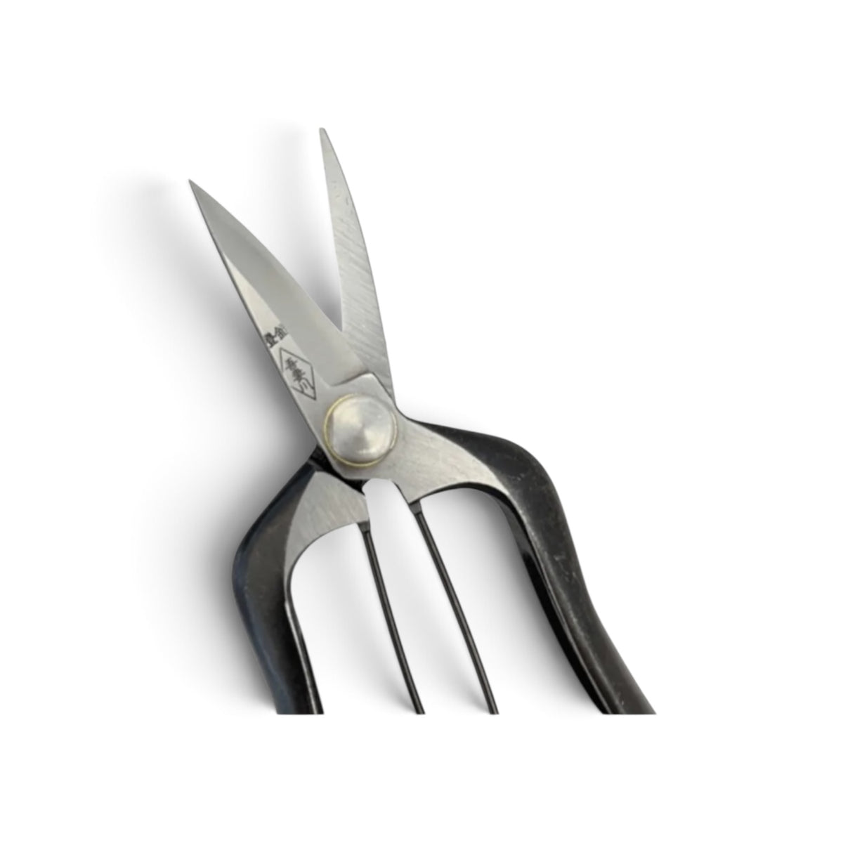Azumagawa Mini Bud Trimming Scissors Single-Edged Total Length & Blade: 165mm/58mm Weight: 168g | Premium Japanese Carbon Cutlery Steel [Traditional Hand Forged from Scratch / Hollow Ground Back / Twisted Blade / Screw Joint / Bottom Spring Lock]