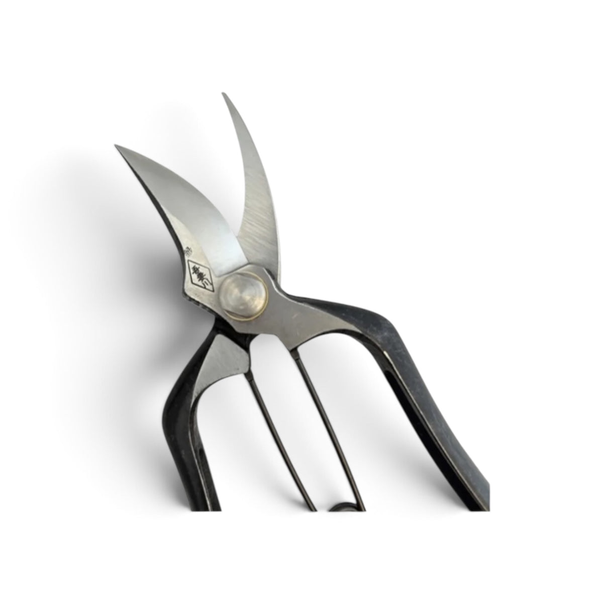 Azumagawa Hybrid Pruning & Bud Trimming Shears Total Length & Blade: 185mm/60mm Weight: Approx. 180g | Premium Japanese Carbon Cutlery Steel [Traditional Hand Forged from Scratch / Hollow Ground Back / Twisted Blade / Screw Joint / Bottom Spring Lock]