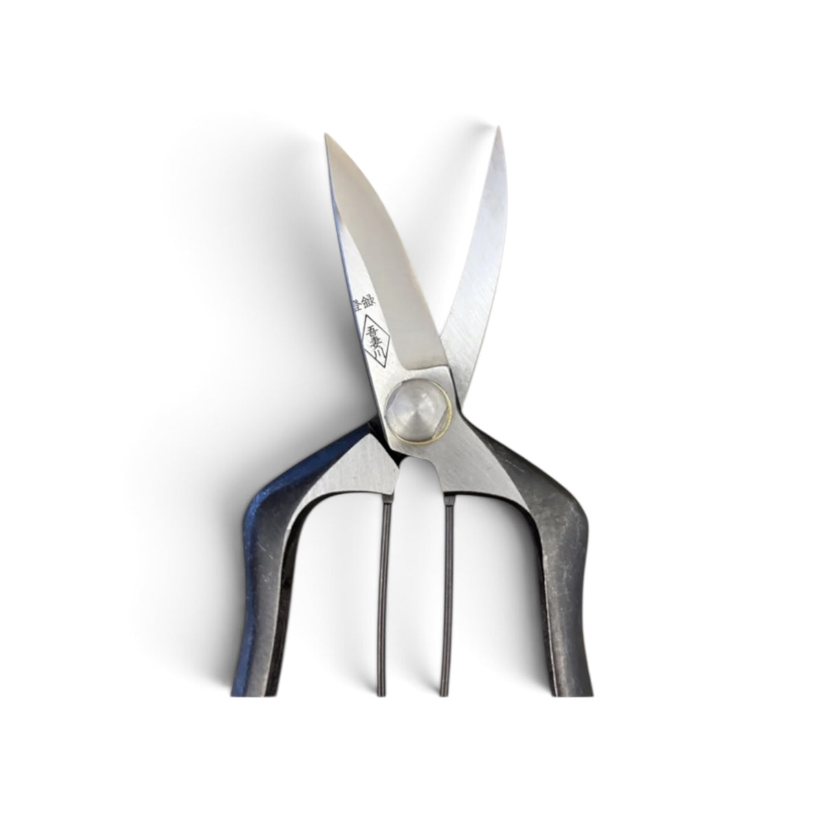 Azumagawa Bud Trimming Scissors Single-Edged Total Length & Blade: 190mm/64mm Weight: Approx. 180g | Premium Japanese Carbon Cutlery Steel [Traditional Hand Forged from Scratch / Hollow Ground Back / Twisted Blade / Screw Joint / Bottom Spring Lock]