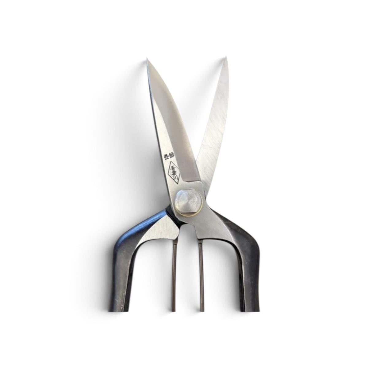 Azumagawa Bud Trimming Scissors Single-Edged Total Length & Blade: 205mm/76mm Weight: Approx. 210g | Premium Japanese Carbon Cutlery Steel [Traditional Hand Forged from Scratch / Hollow Ground Back / Twisted Blade / Screw Joint / Bottom Spring Lock]