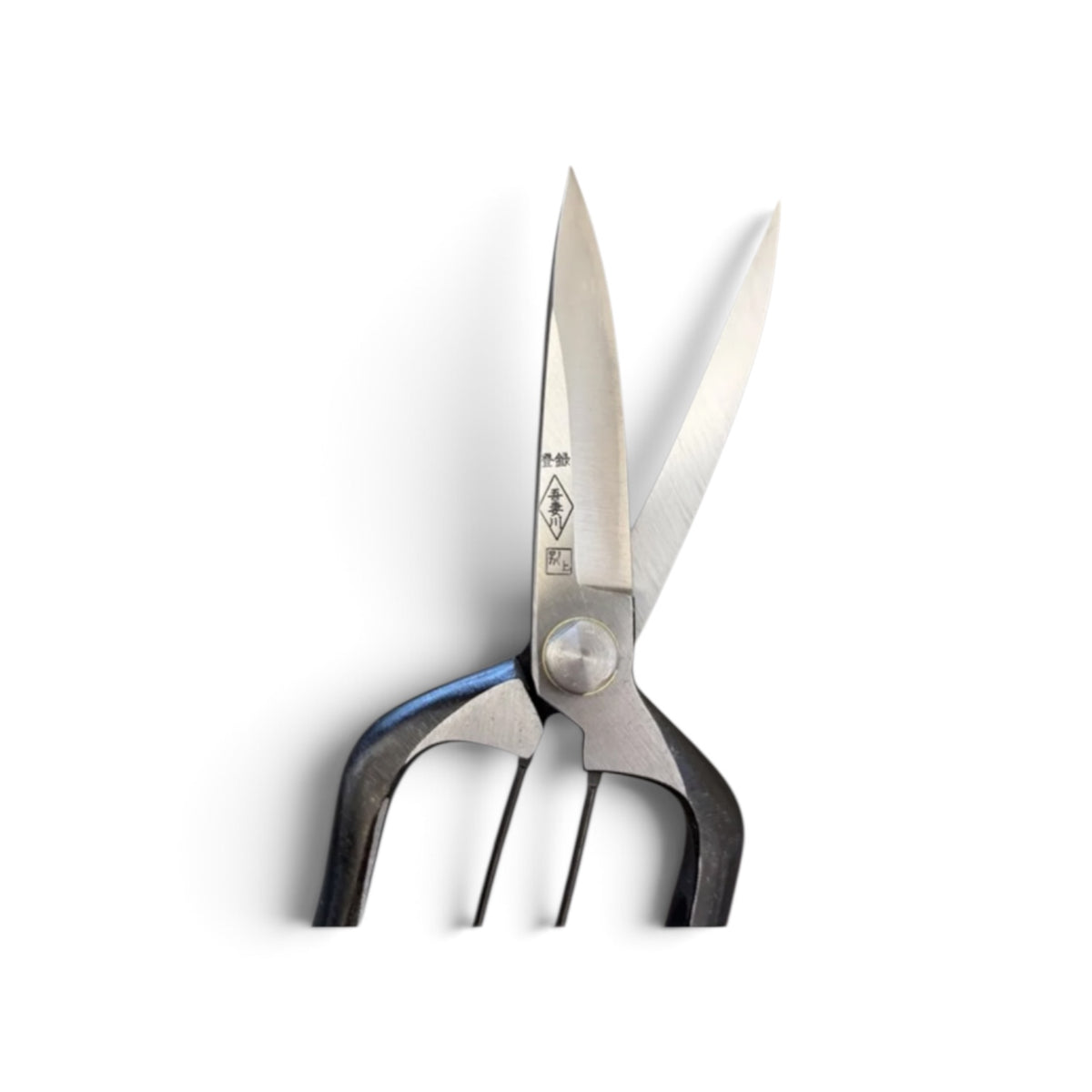 Azumagawa Bud Trimming Scissors Single-Edged Total Length & Blade: 210mm/85mm Weight: Approx. 225g | Premium Japanese Carbon Cutlery Steel [Traditional Hand Forged from Scratch / Hollow Ground Back / Twisted Blade / Screw Joint / Bottom Spring Lock]