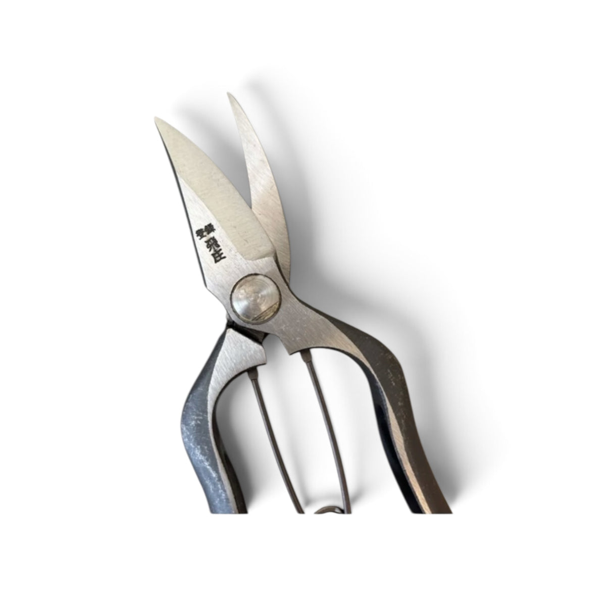 Tobisho Single-Edged Bud Trimming Scissors Total Length & Blade: 185mm/56mm Weight: 170g | High Carbon Steel [Traditional Hand Forged from Scratch / Hollow Ground Back / Twisted Blade / Screw Joint / Bottom Lock]