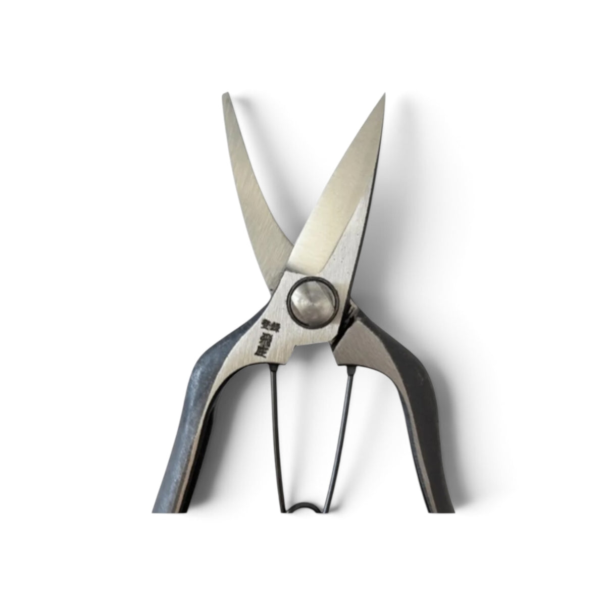 Tobisho Left-Handed Single-Edged Bud Trimming Scissors Total Length & Blade 185mm/61mm Weight: 170g High Carbon Steel [Traditional Hand Forged from Scratch / Hollow Ground Back / Twisted Blade / Screw Joint /Bottom Lock]