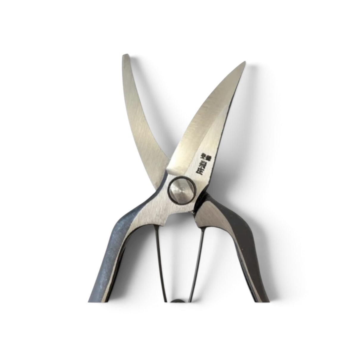 Tobisho Left-Handed Single-Edged Bud Trimming Scissors Total Length & Blade: 200mm/73mm Weight: 200g | High Carbon Steel [Traditional Hand Forged from Scratch / Hollow Ground Back / Twisted Blade / Screw Joint / Bottom Lock]