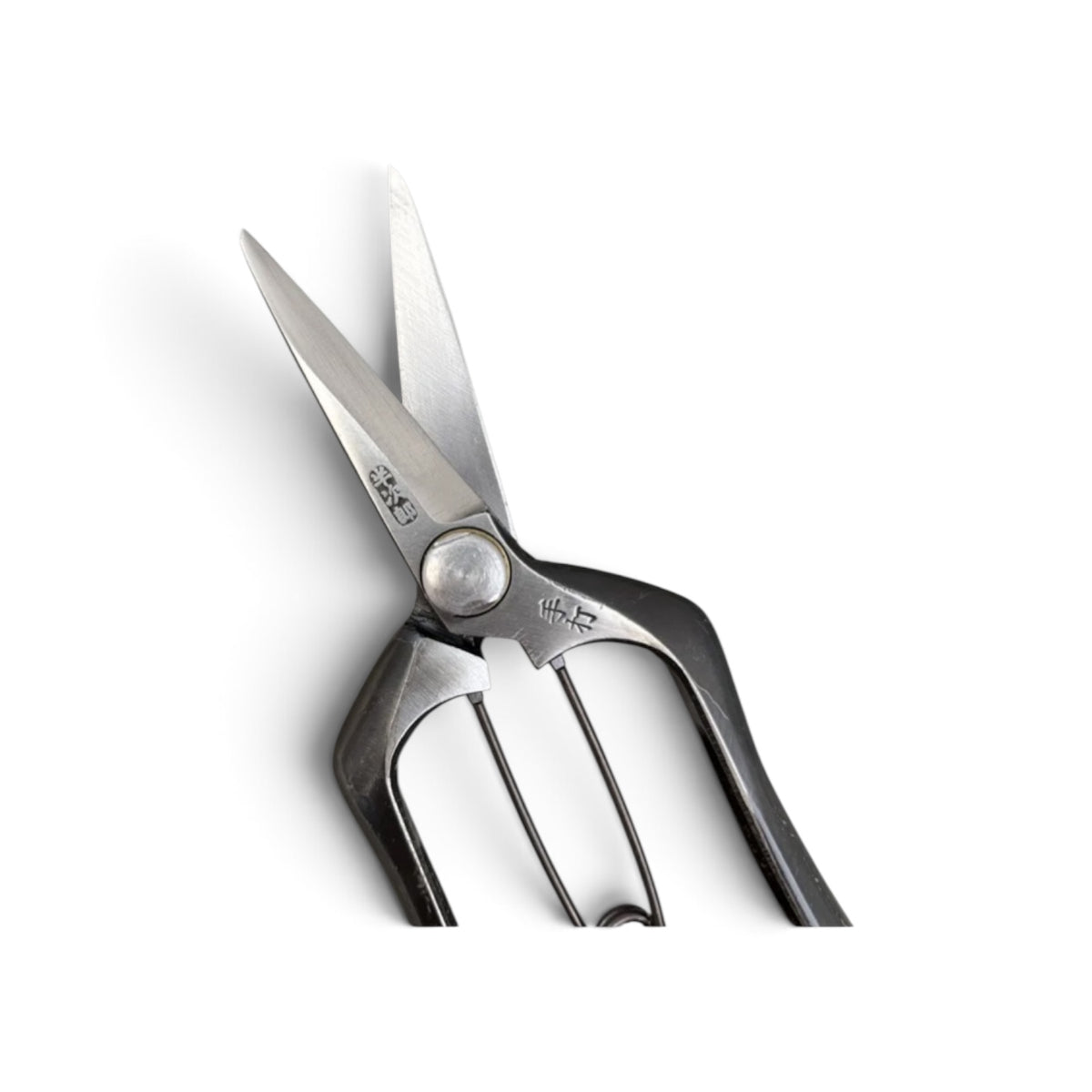Hanjiro Double-Edged Bud Trimming Scissors Total Length & Blade 180mm/63mm Weight: 180g High Carbon Steel [Traditional Hand Forged from Scratch / Hollow Ground Back / Twisted Blade / Screw Joint / Bottom Lock]