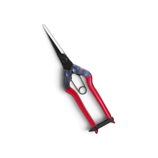 Chikamasa T-570 Long-Reach Bud & Harvest Snips 195mm/55mm Weight: 105g | High Carbon Steel [Sakai Chikamasa Heritage / Ultra-Featherweight 105g / Extra-Long 55mm Pointed Tip / Deep-Reach Bud & Harvest Workhorse]