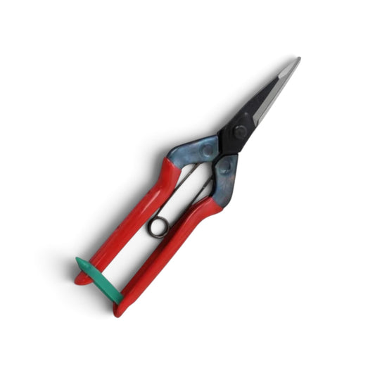 Chikamasa T-601K Large-Capacity Fruit Thinning & Bud Shears 195mm/48mm Weight: 130g | High Carbon Steel [Sakai Chikamasa Heritage / Heavy-Duty Large-Frame Design / 48mm Pointed Tip / High-Efficiency Harvest & Thinning Workhorse]