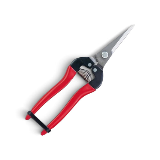 ARS 300L-DX-BP Stainless Steel Long-Reach Fruit Thinning & Fine Harvest Snips 190mm/46mm Weight: 115g [ARS Sakai Cutlery / Rust-Resistant Japanese Stainless Steel / Signature Red Grip / Extended 46mm Pointed Tip / High-Precision Bolt Joint / Blister Pack]