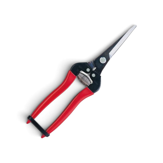 ARS 300LL-BP Extra Long-Reach Fruit Thinning & Fine Harvest Snips 200mm/55mm Weight: 125g | High Carbon Steel [ARS Sakai Cutlery / Signature Red Grip / Lightweight 125g / Extra-Long 55mm Pointed Tip / High-Precision Bolt Joint / Blister Pack]