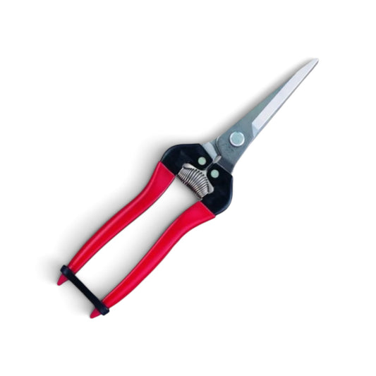 ARS 300LL-DX-BP Stainless Steel Extra Long-Reach Fruit Thinning & Fine Harvest Snips 200mm/55mm Weight: 125g [ARS Sakai Cutlery / Rust-Resistant Japanese Stainless Steel / Signature Red Grip / Extra-Long 55mm Pointed Tip / High-Precision Bolt Joint / Blis