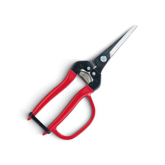 ARS 300LL-G-BP Extra Long-Reach Fruit Thinning & Fine Harvest Snips with Finger Guard 200mm/55mm Weight: 130g | High Carbon Steel [ARS Sakai Cutlery / Safety Guard Handle / Signature Red Grip / Lightweight 130g / Extra-Long 55mm Pointed Tip]