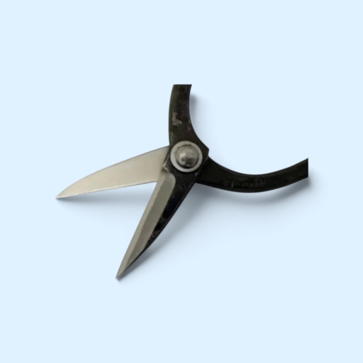 Hana Fubuki Mini Matsuba Type 3 Bonsai-Ikebana (Floral Shears) Pine Needle Pruning Shears Total Length & Blade: 130mm/43mm / Yasuki Blue Paper Steel [Compact Palm-Held Design / Hand Forged / Hollow Ground Blade / Twisted Blade / Rivet Joint]