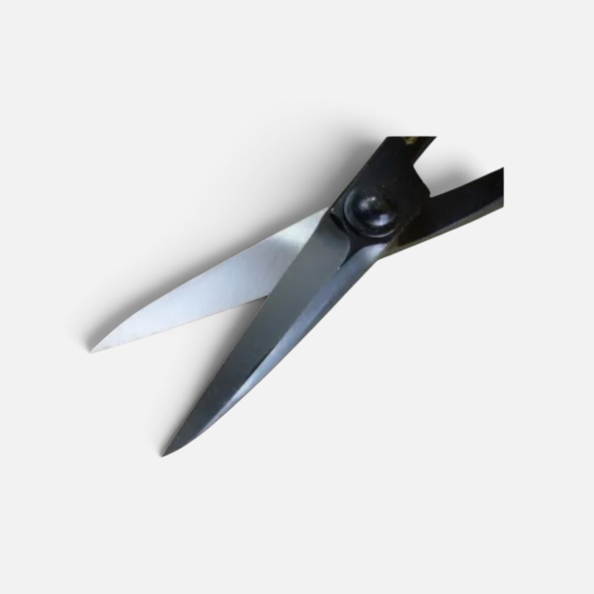 Hasamiya Ichiban Shinogi-Blade Bonsai-Ikebana (Floral Shears) Pine Needle & Branch Pruning Shears Total Length & Blade: 210mm/53mm / Yasuki White Paper Steel [Traditional Hand Forged from Scratch / Hollow Ground Blade / Twisted Blade / Rivet Joint]